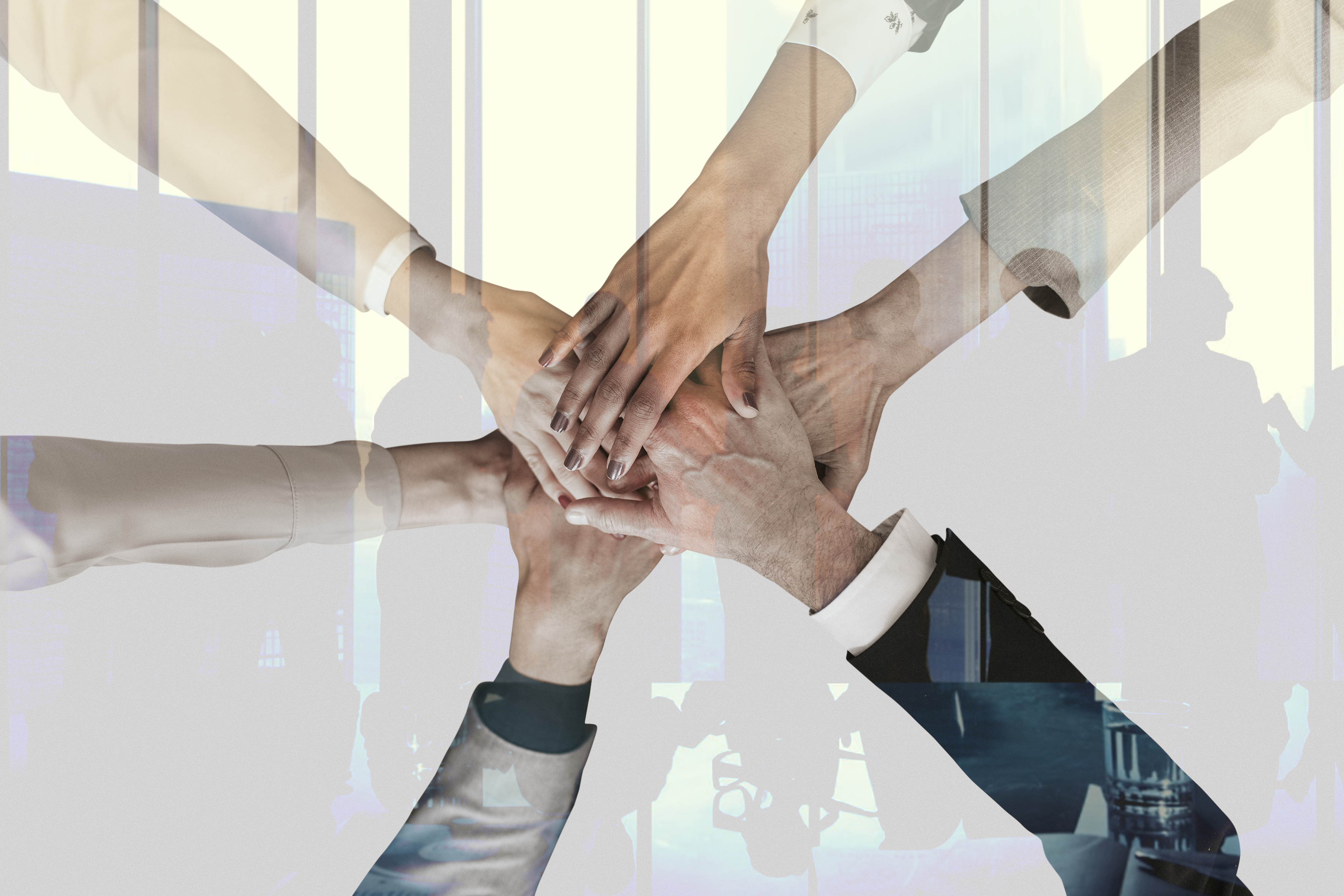 QuickIntell values — partnership and trust